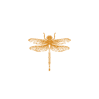 The Wine Garden